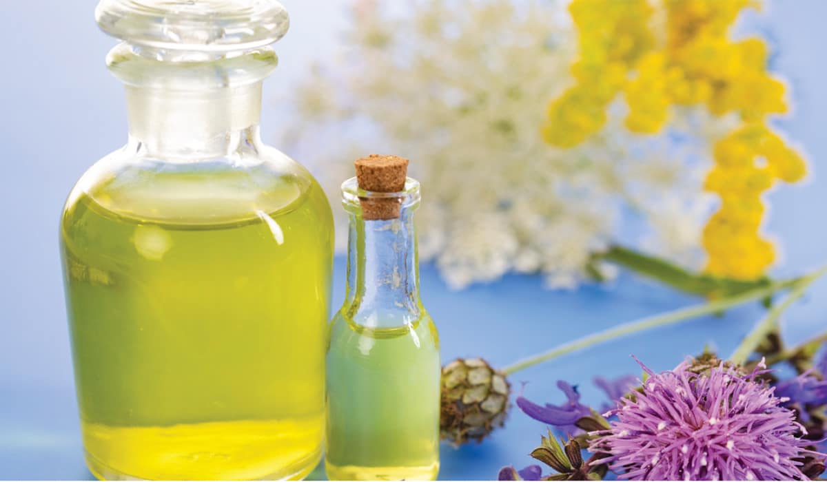 Ulei de semințe de armurariu :: Food From Light